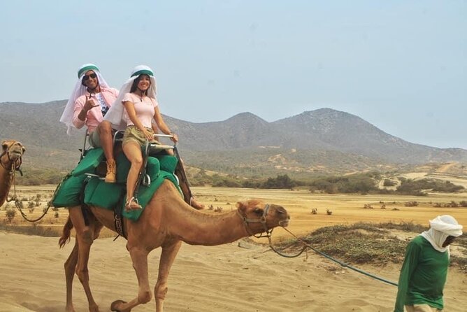 Cactus Combo Combine two of your favorite desert tours - Practical Details and Logistics