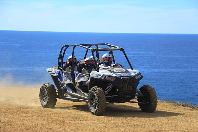 Cactus Combo Combine two of your favorite desert tours - The Experience of Guides and Customer Service