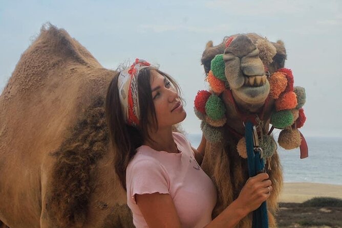 Cactus Combo Combine two of your favorite desert tours - Value for Money and Booking Tips