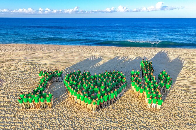 Cactus Premium Combo: OFF ROAD & SKY BIKE - Discover the Cactus Premium Combo in Los Cabos for $166.25