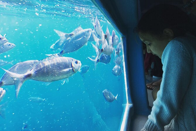 Cadaqués Tour 1 hour stop and Super Vision underwater - The Experience Provider: Els Blaus de Roses