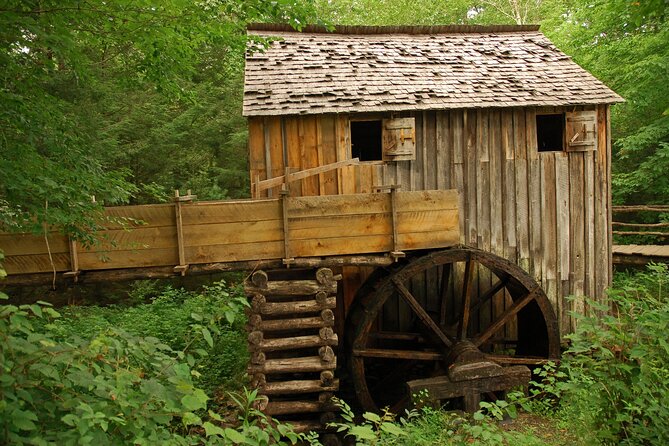 Cades Cove Sightseeing Self-Guided Driving Audio Tour - Wildlife Encounters and Animal Sightings