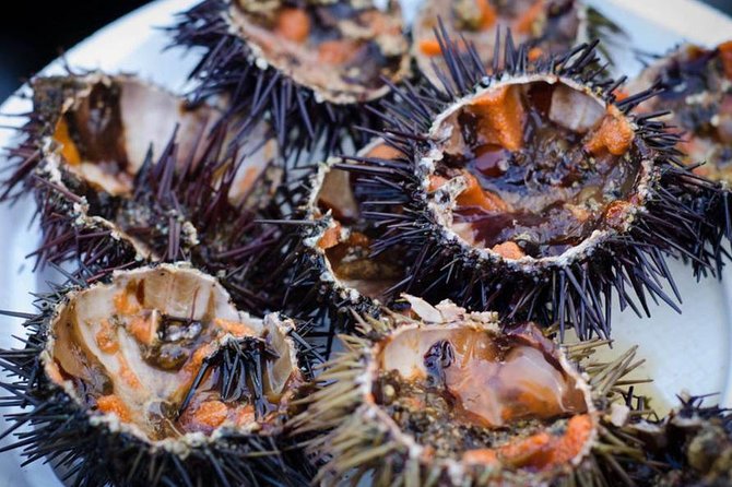 Cadiz: 3-Hour Tapas Tour - Cádiz: 3-Hour Tapas Tour - An Authentic Food Experience