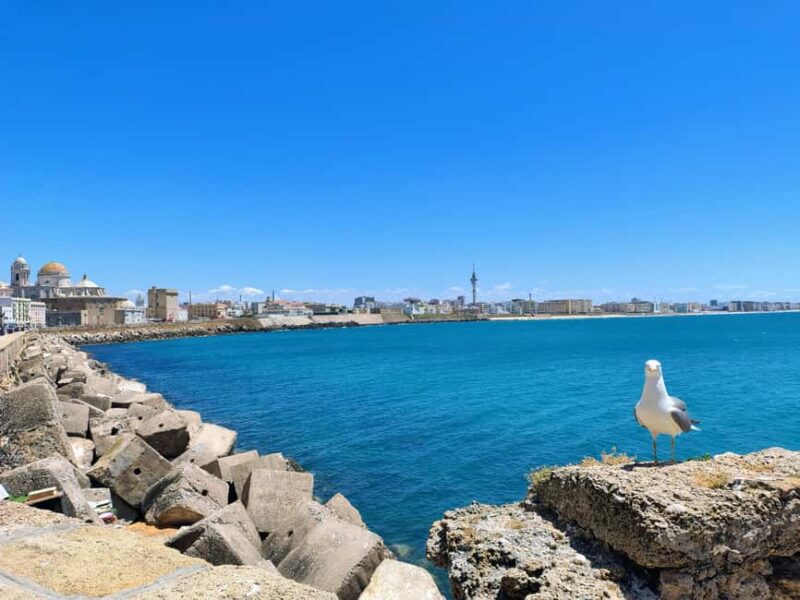 Cádiz: 90-Minute Essentials Walking Tour with Local Guide - Comparing to Other Cádiz Tours