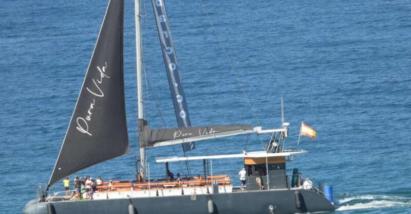 Cadiz: Bay of Cadiz Catamaran Tour with Host - Key Points