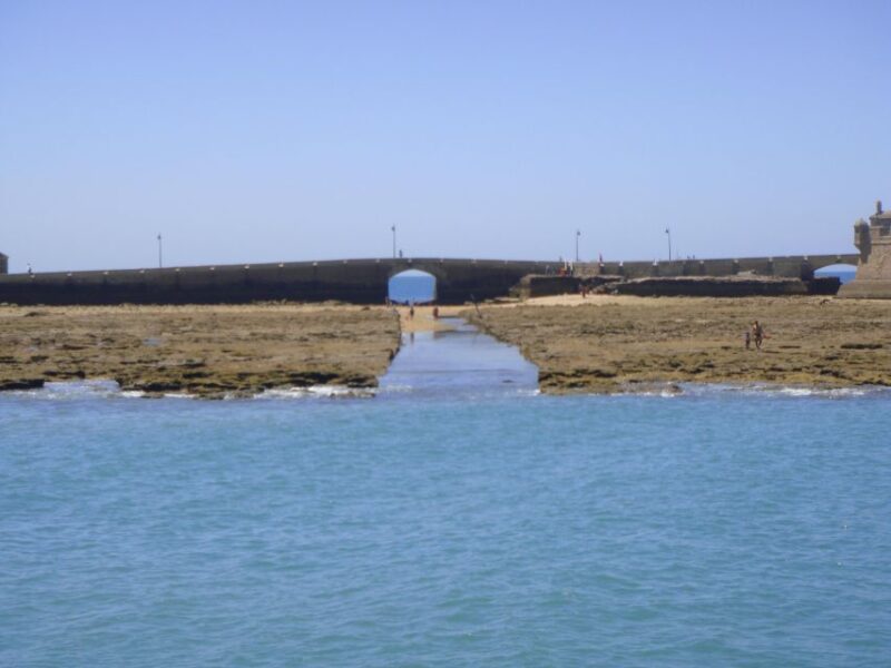 Cadiz: Bay of Cadiz Catamaran Tour with Host - Marvel at the Constitution Bridge