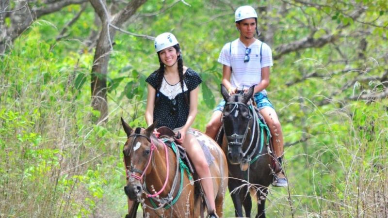 Cádiz Country side: Ride an Andalusian Horse - An Authentic Andalusian Horseback Riding Experience in Cádiz