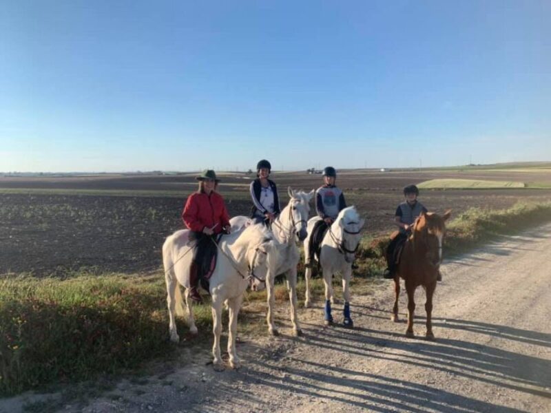 Cádiz Country side: Ride an Andalusian Horse - What to Expect From the Horse and the Guide