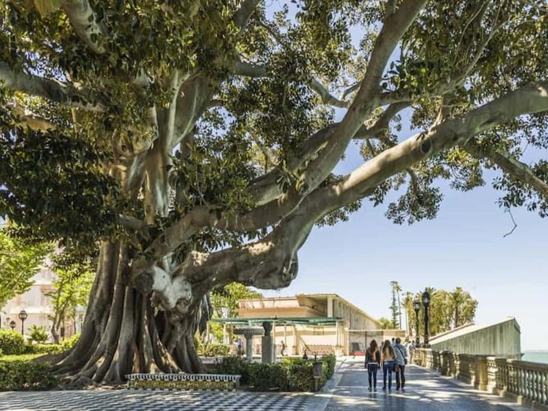 Cadiz: Enigmas City Tour - Exploring Cádiz’s Oldest Streets and Historic Landmarks