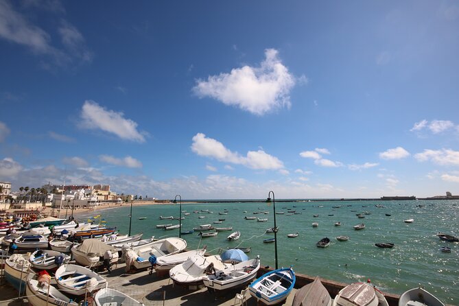 Cadiz Like a Local: Customized Private Tour - Potential Limitations or Considerations