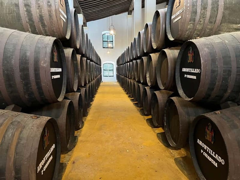 Cadiz: Private Tour with Wine Tasting - Discover Cadiz and Jerez de la Frontera on a Private 7-Hour Tour with Wine Tasting