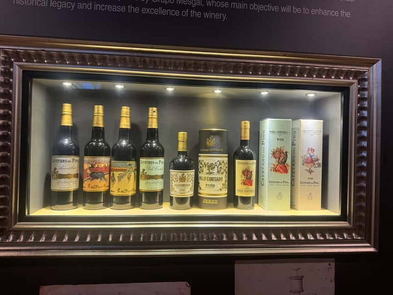 Cadiz: Private Tour with Wine Tasting - What’s Not Included: Food and Souvenirs