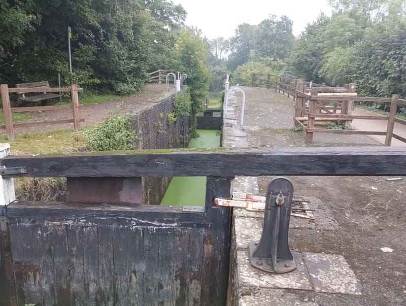 Caerleon and Newport: Roman Fortress and Historic Highlights - Caerleon’s Roman Heritage and the National Roman Legion Museum