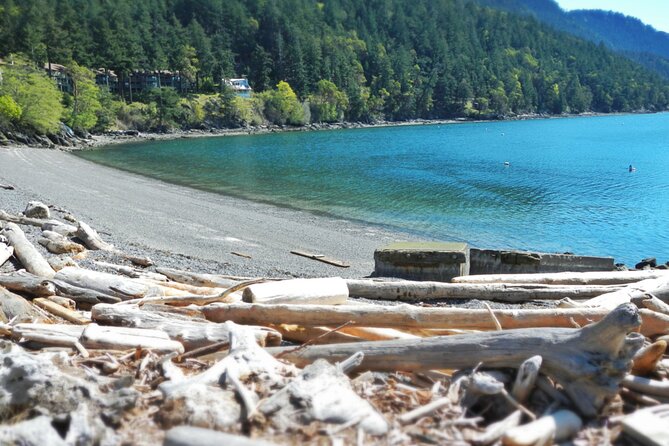 Cafes and Kayaks: Full Day Kayaking Adventure on Orcas Island - Key Points