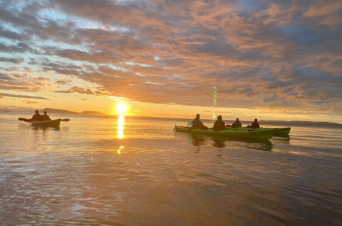 Cafes and Kayaks: Full Day Kayaking Adventure on Orcas Island - Guided Kayaking Back to Rosario
