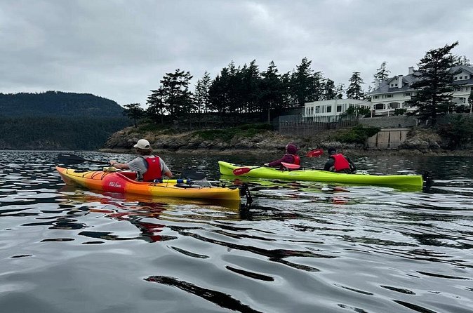 Cafes and Kayaks: Full Day Kayaking Adventure on Orcas Island - What’s Included and What to Bring
