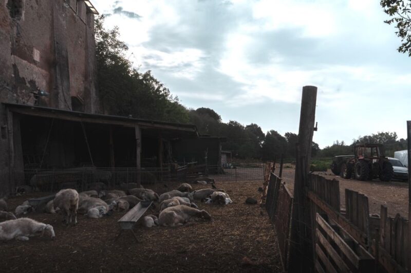 Caffarella Park: Rome's Secret Urban Hiking Paradise - Starting at Largo Pietro Tacchi Venturi: Easy Access to Roman Nature