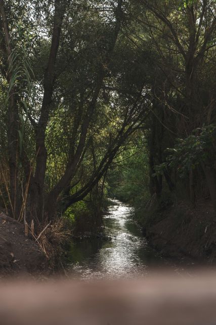 Caffarella Park: Rome's Secret Urban Hiking Paradise - The Role of the Professional Guide