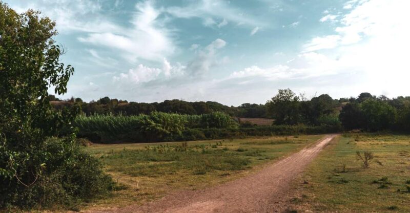 Caffarella Park: Rome's Secret Urban Hiking Paradise - Who Would Enjoy This Tour?