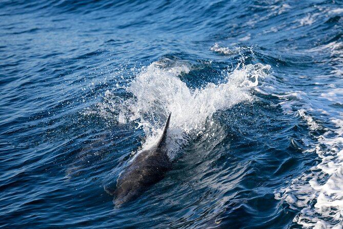 Cagliari: Boat tour with swim stops, Snorkeling & Prosecco - Marveling at the Sella del Diavolo and its Pools