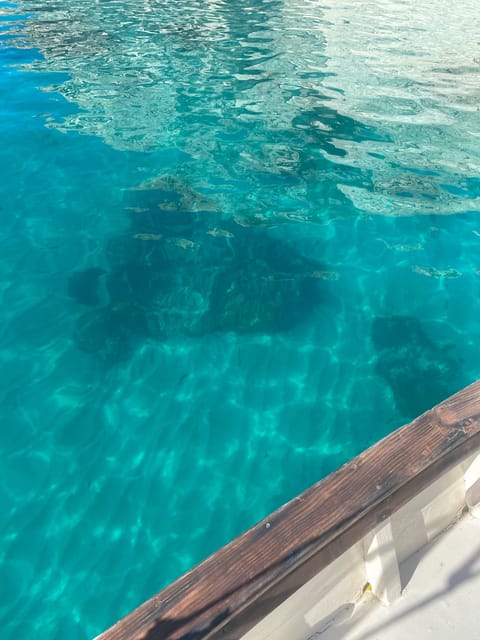 Cagliari: Classic Boat tour along the gulf with tasting. - How the Stops Enhance the Experience