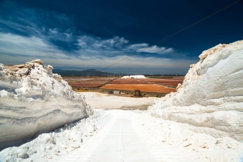 Cagliari: Conti Vecchi Salt Flats Train and Tour - Key Points