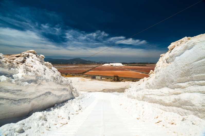 Cagliari: Conti Vecchi Salt Flats Train and Tour - Exploring Macchiareddu, the Salt-Mining Village