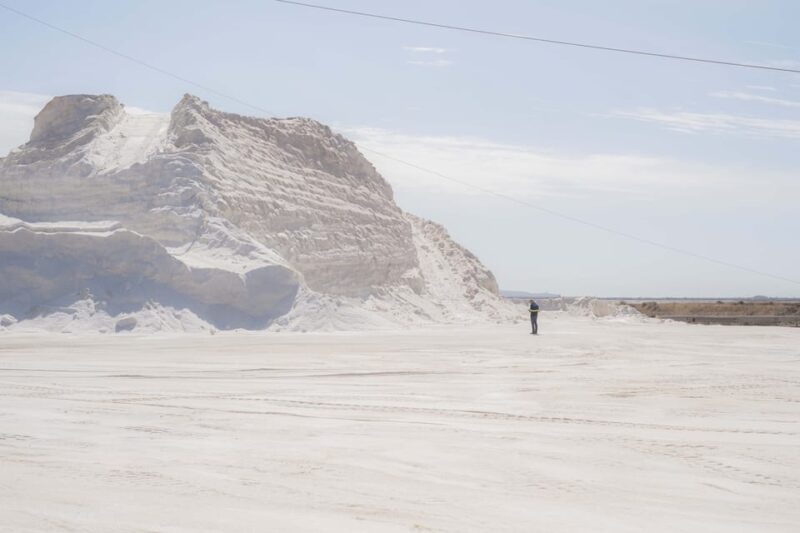Cagliari: Conti Vecchi Salt Flats Train and Tour - Wildlife Watching: Flamingos in Their Habitat