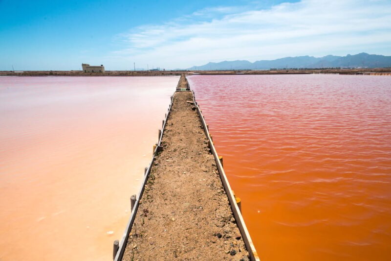 Cagliari: Conti Vecchi Salt Flats Train and Tour - Accessibility and Practical Tips