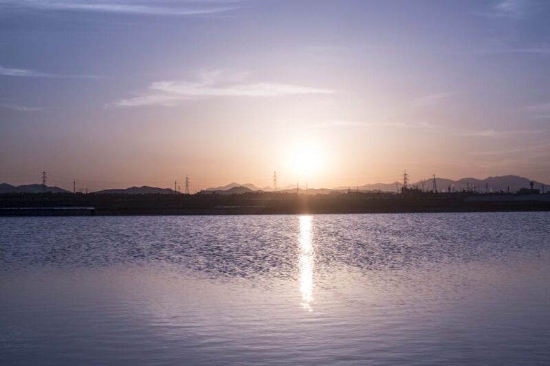 Cagliari: Conti Vecchi Salt Flats Train and Tour - The Experience Provider: FAI - Fondo Ambiente Italiano