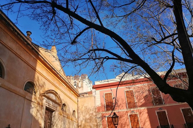 Cagliari: cultural walking tour, food and wine tasting experience - Tasting Sardinian Wines and Cheeses in Local Shops