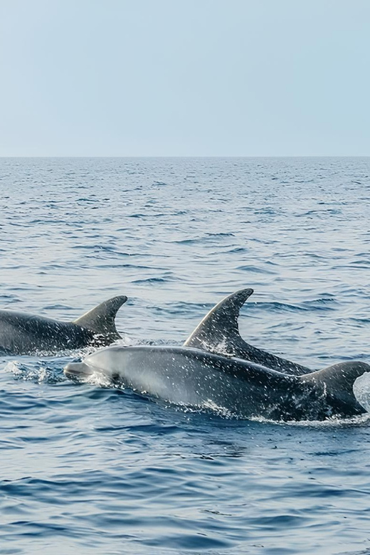 Cagliari: Devil's Saddle Boat Tour with Spritz and Chips - Final Reflection on the Cagliari Devil’s Saddle Boat Tour