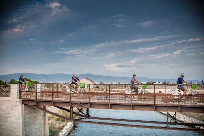 Cagliari E-Bike Tour: Canals & Flamingos at Molentargius - The Bikes and Safety Measures