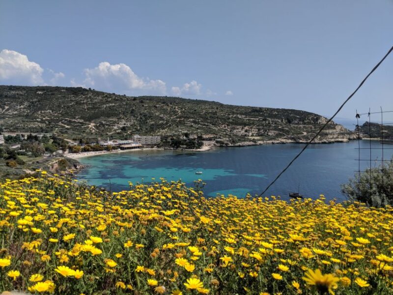Cagliari E-Bike Tour: Canals & Flamingos at Molentargius - Why This Tour Stands Out