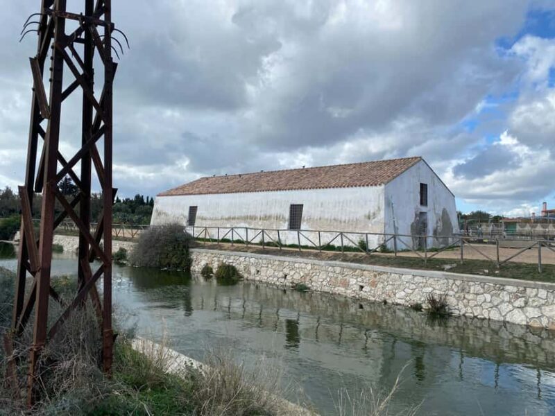 Cagliari: EcoSafari Flamingos Tour in Molentargius Park - Starting Point at Infopoint Parco Molentargius Saline