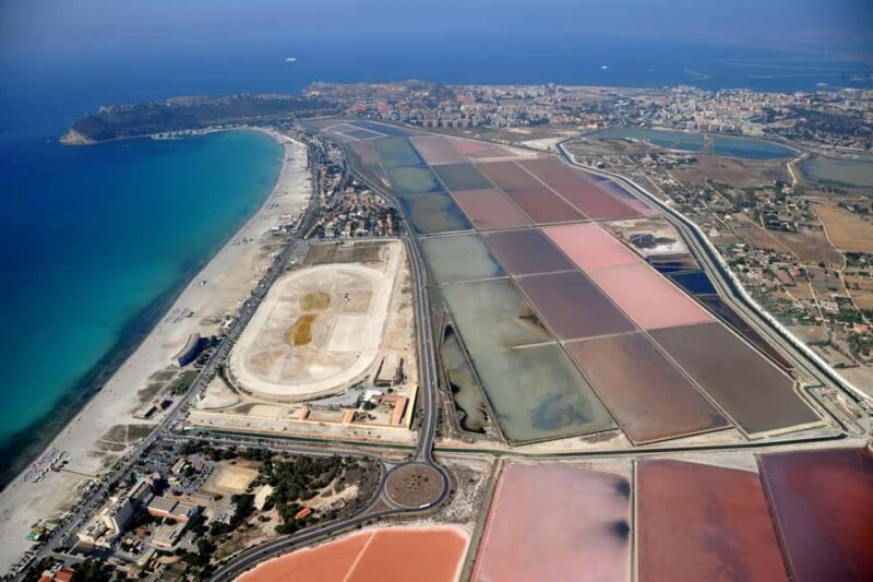 Cagliari: EcoSafari Flamingos Tour in Molentargius Park - Flamboyant Flamingos and Over 250 Bird Species