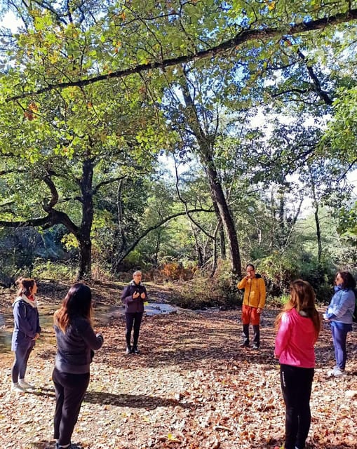Cagliari: forest bathing at Sette Fratelli Park - Experience Tranquility and Well-Being in Sette Fratelli Park for Just $47.83