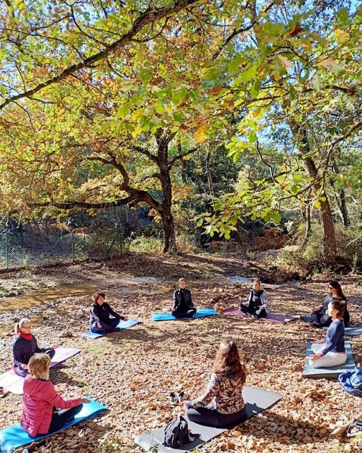 Cagliari: forest bathing at Sette Fratelli Park - The Sum Up: A Gentle Path to Wellness in Sardinia