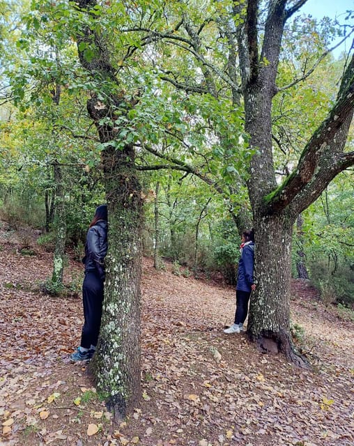 Cagliari: forest bathing at Sette Fratelli Park - Frequently Asked Questions