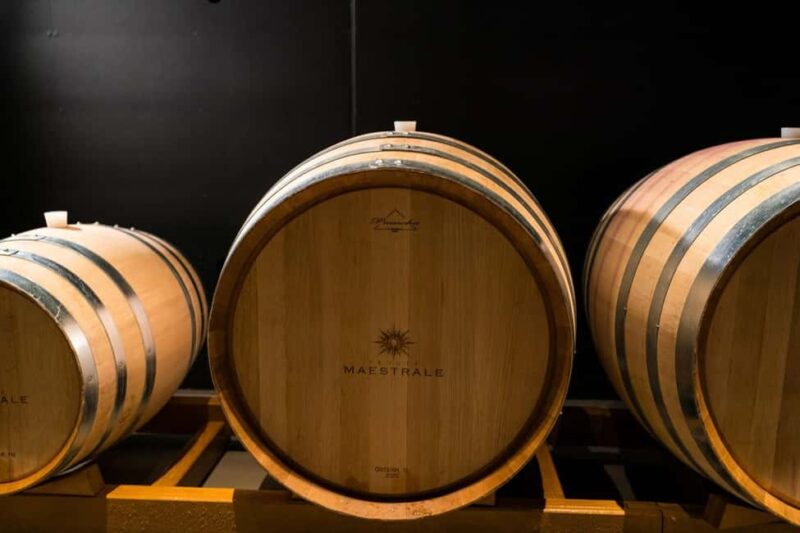 Cagliari - Guided tour of the vineyard and winery with tasting of 5 wines - The Panoramic Wine Cellar: An Intimate Tasting Setting