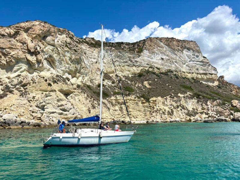 Cagliari gulf boat tour, sailing, snorkeling and drink. - Spotting Dolphins and Birds: Marine and Birdlife Encounters