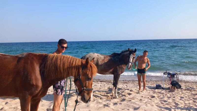 Cagliari: horseback riding with sunrise dive - The Meeting Point and Logistics