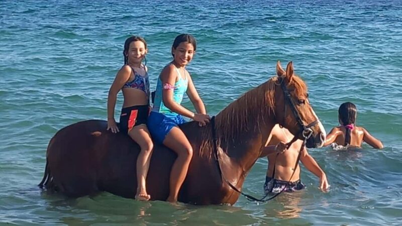 Cagliari: horseback riding with sunrise dive - Final Thoughts on the Sunrise Horseback Ride and Sea Swim