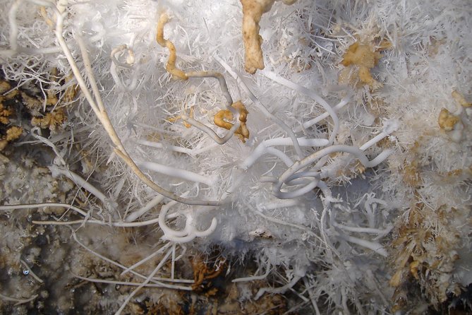 Cagliari: Is Zuddas Caves Private Experience from Chia - Arrival at Is Zuddas Caves and Entrance Overview