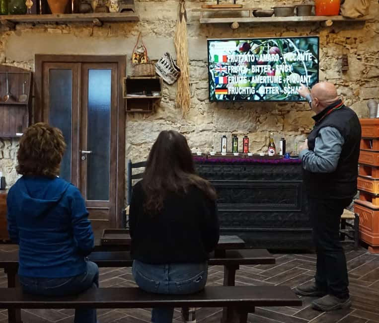 Cagliari Olive Oil Museum: Tours & Tasting a Dolianova - Visiting the Olive Oil Museum "sa Mola de su Notariu"