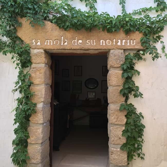 Cagliari Olive Oil Museum: Tours & Tasting a Dolianova - Tasting Unique Flavored Olive Oils