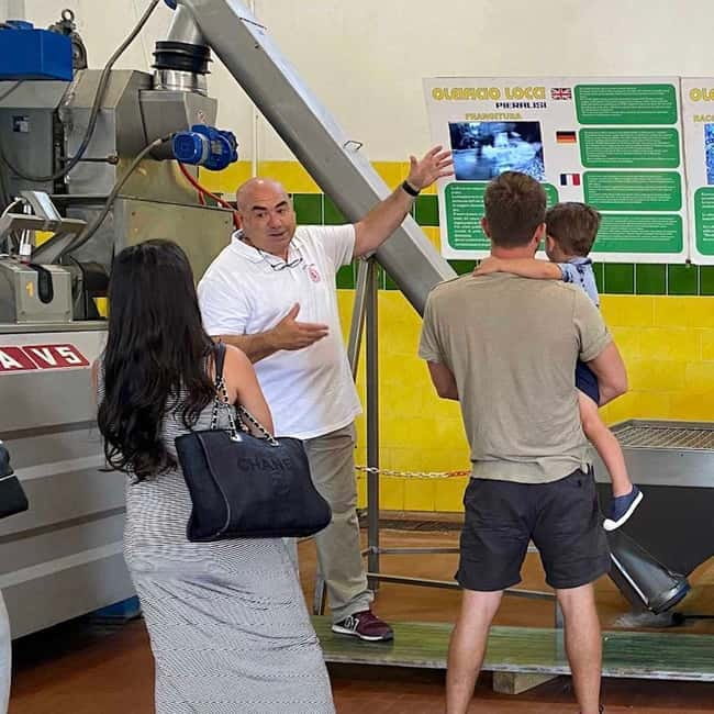 Cagliari Olive Oil Museum: Tours & Tasting a Dolianova - Why This Tour Stands Out Among Sardinian Olive Oil Experiences