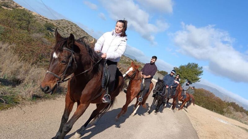 Cagliari: panoramic horseback riding - Experience with the Guides and Group Dynamics