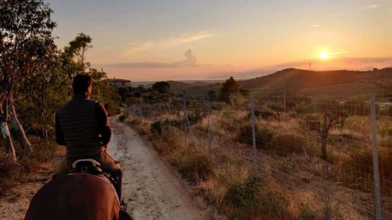 Cagliari: panoramic horseback riding - Value and Booking Flexibility