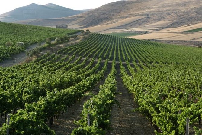 Cagliari Private Shore Excursion: Wine and Cheese Tasting - Scenic Drive to Sardinian Countryside From Cagliari Port